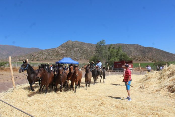 Una nutrida agenda cultural y de entretención vivirán en Monte Patria para cerrar el verano.