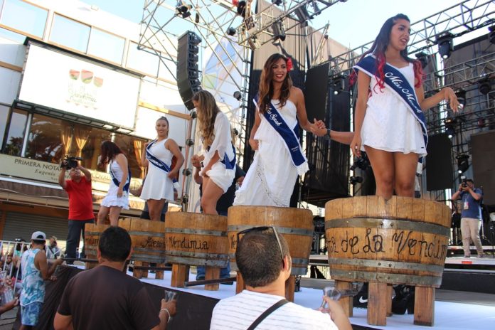 Candidatas a Reina realizan pisado de uva en la Fiesta de la Vendimia 2018. Kamila M,