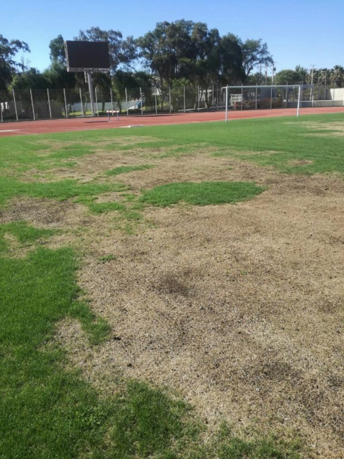 Este jueves circularon fotografías de la cancha del Estadio Diaguita, donde los cibernautas manifestaron su preocupación. (Foto: Twitter)