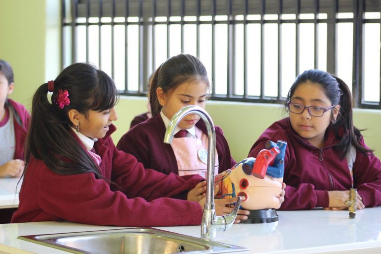 Hace pocas semanas se completó el equipamiento del laboratorio de ciencias dentro del establecimiento educacional. (FOTO: Camila González)