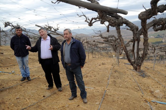 Los agricultores muestran con desazón los efectos que provocó la sequía y ahora la falta de retornos, pero aseguran que quieren seguir luchando para recuperar los predios. FOTO LAUTARO CARMONA