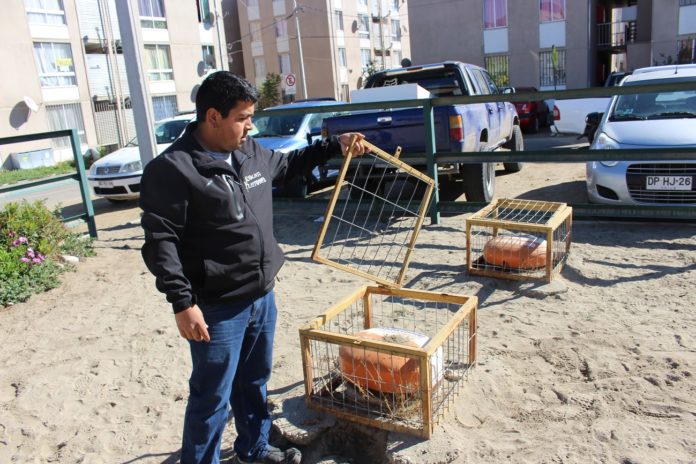 El suministro de gas licuado ha sido un verdadero dolor de cabeza para el condominio localizado en la población Ariztía.