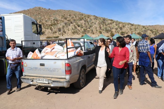 Las autoridades confirmaron ayer que se abrirá una línea de emergencia a través de INDAP, para ir en ayuda de los productores afectados por las heladas de los últimos días. (FOTO: CEDIDA)