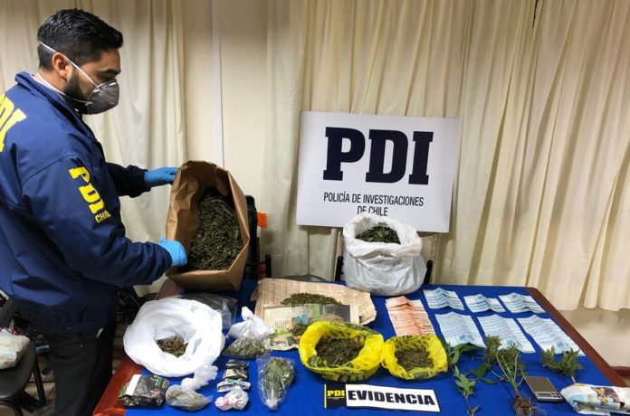 Se encontró en el inmueble un total de 1340 gramos de cannabis, procesada y tres plantas vivas, además de dinero en efectivo.