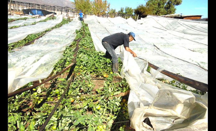 p5_zona_de_emergencia_agricola_foto