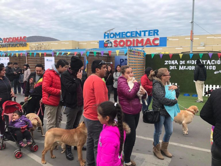 Desde temprano las familias llegaron con sus mascotas hasta Open Plaza Ovalle.