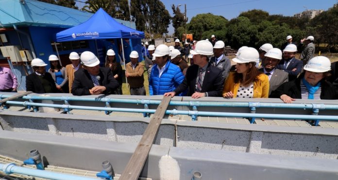 Se trata de un sistema que degrada el agua, a través del ciclo de nitrógeno. Filtros se encargan de convertir el agua, la que al final de su etapa es destinada para riego.