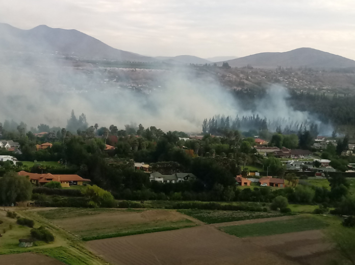 El grave incendio afectó 5 hectáreas del sector el bosque de La Chimba. Crédito: @Edithsoley