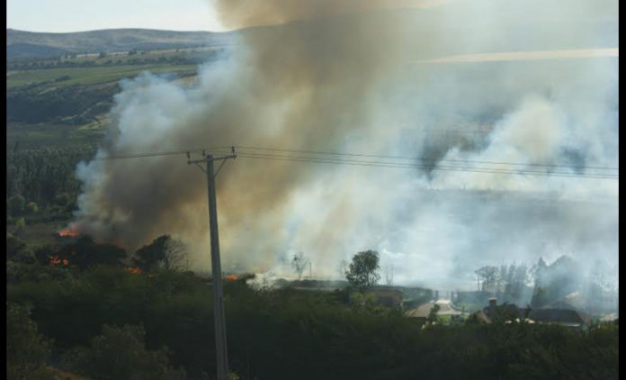 Los lugares que más han sido afectados por los incendios forestales en Ovalle son el bosque la Chimba , Santa Catalina, la quebrada del Ingenio y Huamalata.