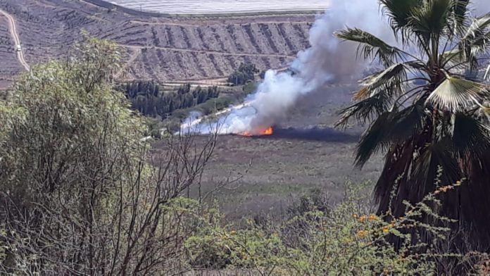 La ola de calor favorece la generación de incendios forestales