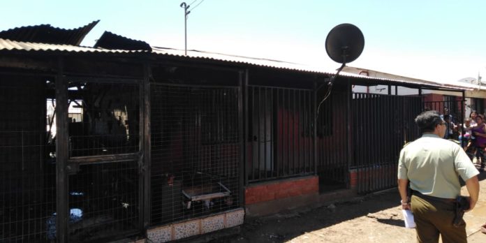 Cuatro compañías de bomberos acudieron al lugar.