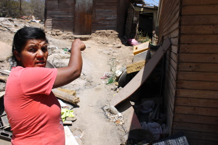 La basura y escombros acumulados cerca de su vivienda atraerían a los roedores