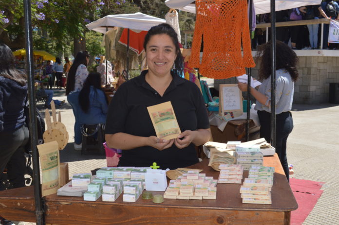 Lily Guzmán, creadora de Trikadia, es una de las emprendedoras que forma parte del programa "Círculo de Emprendedores del Limarí", ejecutado por el Centro de Formación Técnica estatal de la Región de Coquimbo, que tiene su sede en Ovalle.