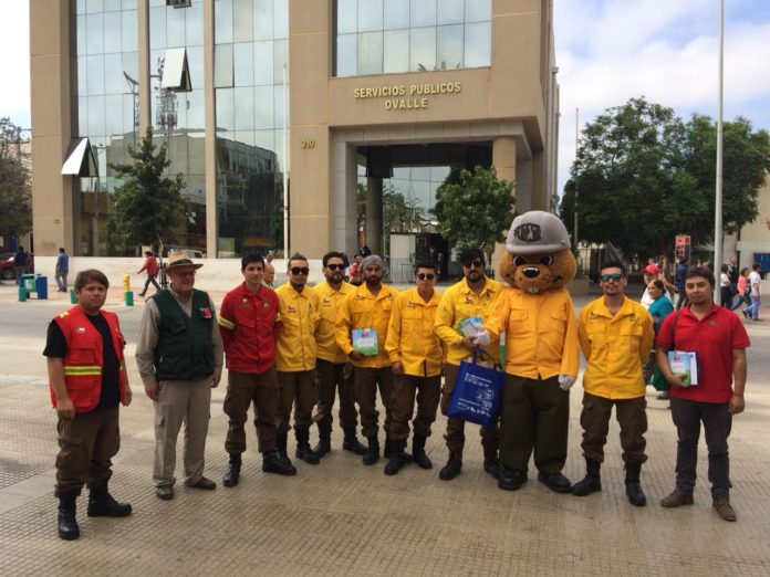 Brigada Molle de Ovalle en alerta para controlar los incendios forestales