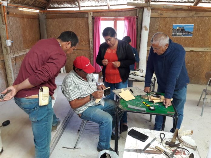 Los talleres desarrollados fueron destinados para usuarios de Coquimbo, Ovalle, Río Hurtado y Los Vilos. Crédito: Cedida