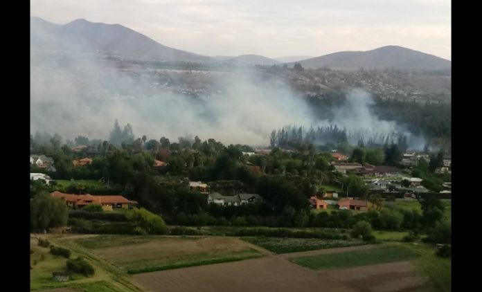 p2_incendios_forestales_provincia_limari_2