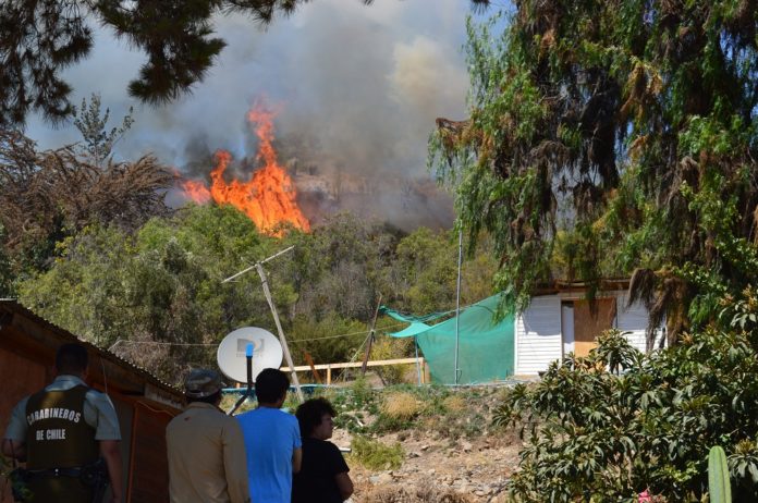 La superficie incendiada ha disminuido de 560.4 hectáreas en 2017-2018, a 213.4 hectáreas esta temporada 2018-2019. Crédito: El Ovallino