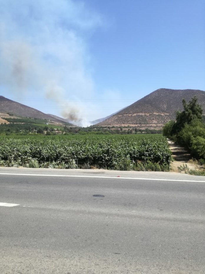 El siniestro fue combatido por los voluntarios de bomberos.