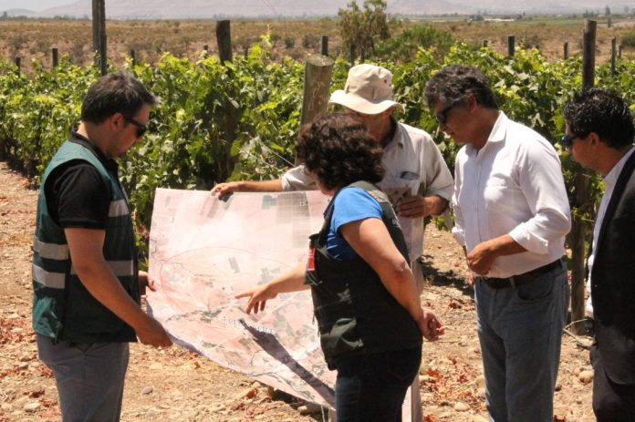 El área donde se ubica la hacienda Las Peñas, de viña Santa Rita fue declarada libre de plaga.