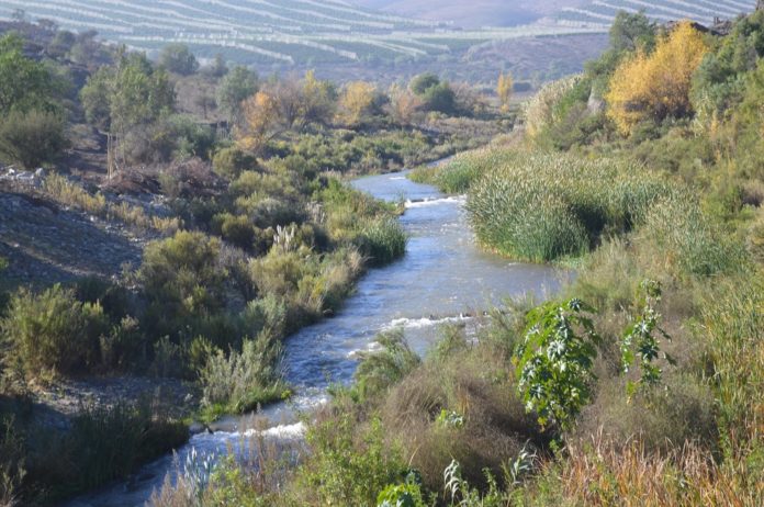 El acceso y disponibilidad de agua continúa siendo una fuente de intensos debates en la provincia, en la región y en todo el país. (FOTO: KAMILA M.)