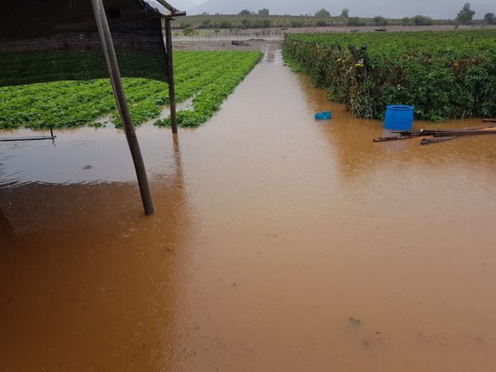 Nuevos pronósticos de CEAZA advierten que fenómeno de El Niño podría extenderse hasta agosto. En el primer trimestre marzo-mayo en tanto, se esperan precipitaciones dentro de lo normal.