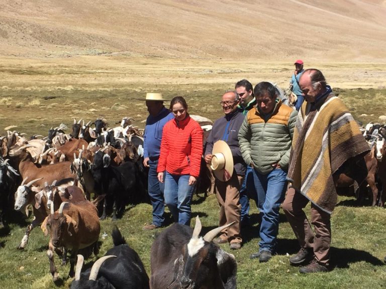 En la oportunidad, el alcalde de Río Hurtado, Gary Valenzuela, hizo entrega de un documento al ministro y a la intendenta Lucía Pinto, que contenía las demandas y necesidades del mundo agrícola y ganadero que aún persisten en su comuna y la región. (FOTO: CEDIDA)