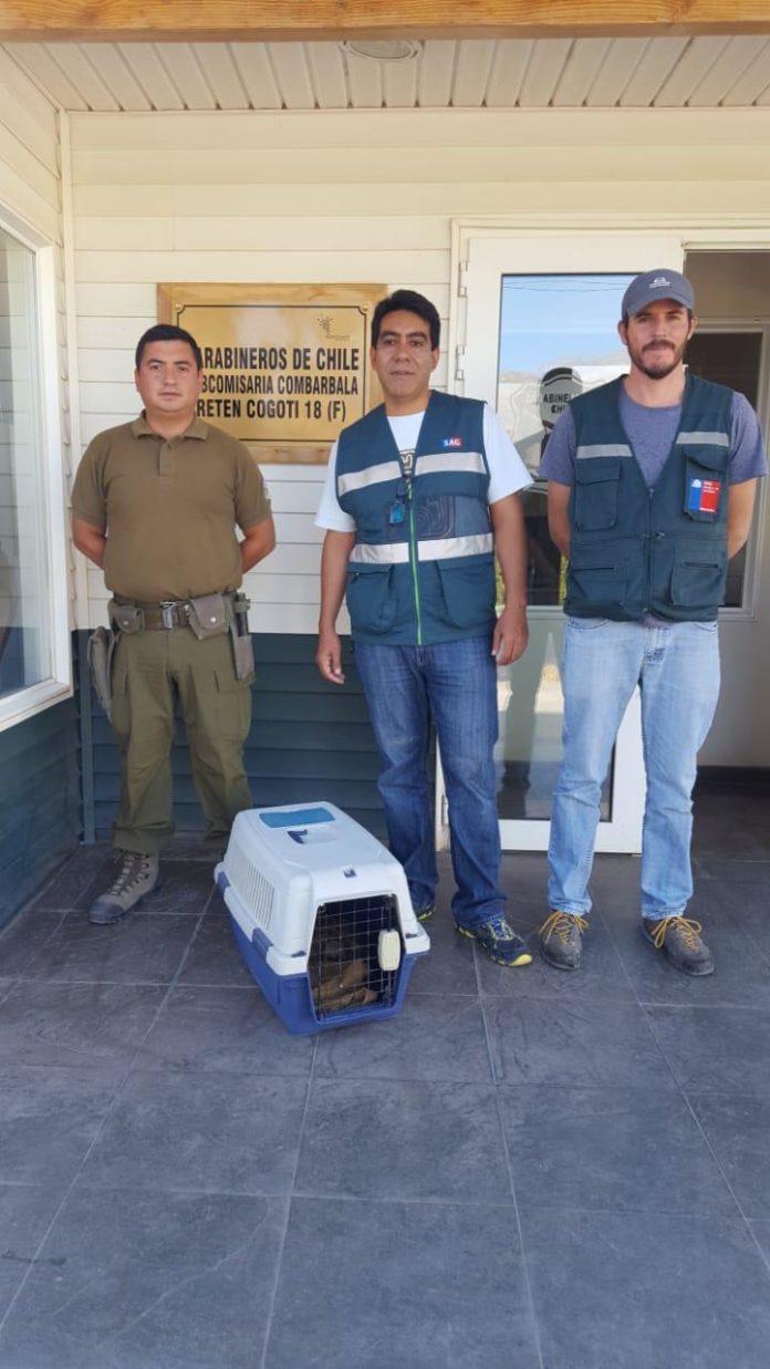 En el Retén de Cogotí 18 se le brindaron los primeros cuidados durante este sábado.