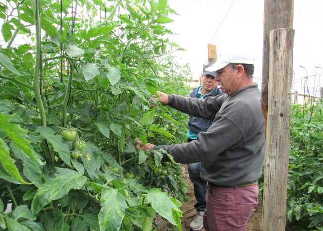 Como parte de las medidas para enfrentar el cambio climático, la Seremi de Agricultura se encuentra trabajando en la organización de un seminario internacional, programado para el 23 de abril.