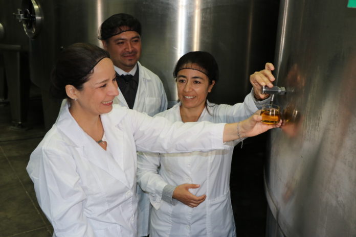 En un 7,7% creció la recaudación por concepto de exportación de aceite de oliva en el país