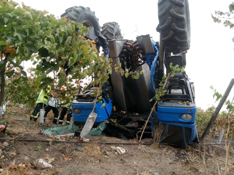 El hecho se produjo en una viña de la zona rural de Ovalle. Crédito: Leonel Pizarro V.