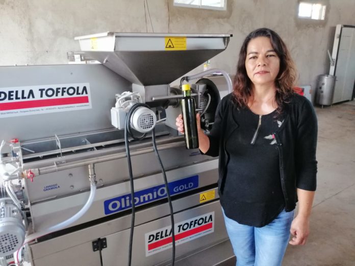 La máquina italiana para extraer aceite pretende modernizar los procesos de producción del emprendimiento de la olivicultora ovallina Elide González. (FOTO: CEDIDA)