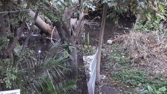 El patio de la casa de Emelina Mundaca se ha visto afectado y el huerto se ha convertido en un pantano por la filtración del agua del Canal Tuqui