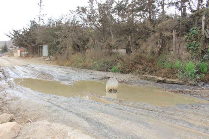 El camino único se mantiene con un charco de aguas servidas. Crédito: Leonel Pizarro V.