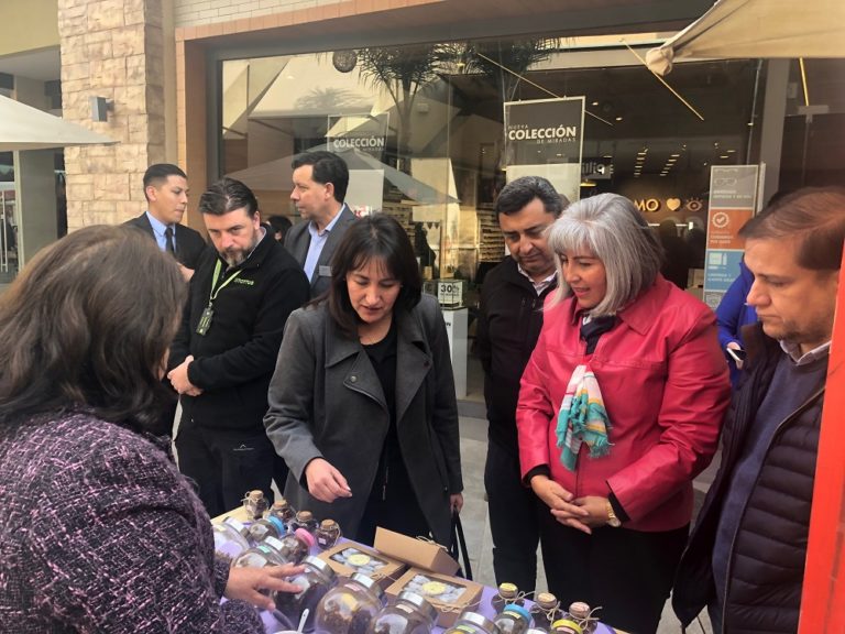 Las protagonistas participantes son parte del Programa “Mujeres Jefas de Hogar” del SernamEG, a través del cual se fortalece la autonomía económica femenina.