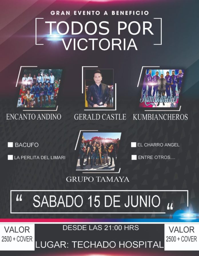 El evento se desarrollará con destacados artistas de la provincia de Limarí. (CEDIDA)