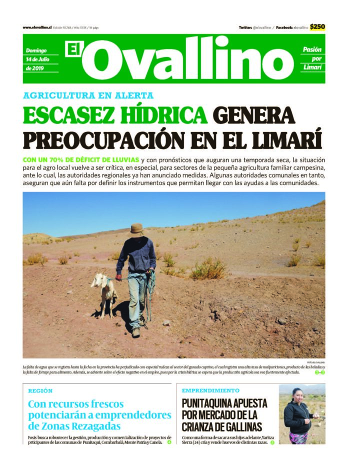 ELOVALLINO 14-07-2019