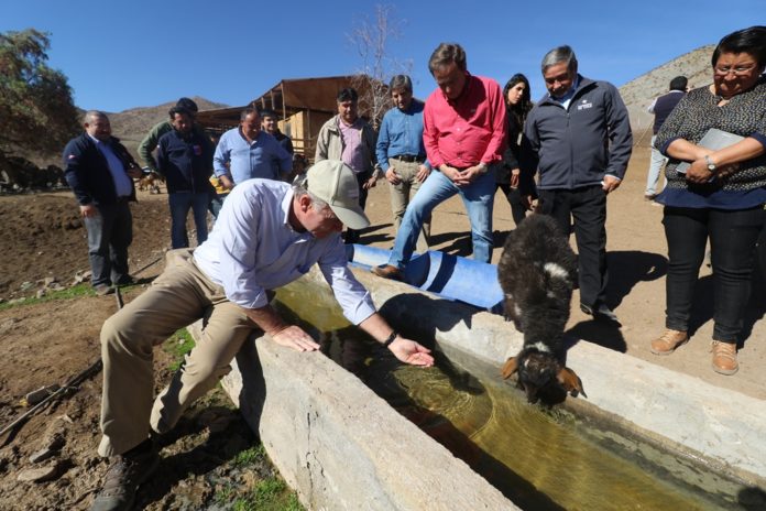 Durante la mañana de este viernes, el ministro de Agricultura, Antonio Walker, visitó la localidad de El Romeral, en la comuna de Río Hurtado, para ver en terreno, los efectos dejados por la sequía.