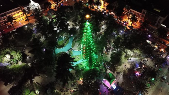 p8_arbol_de_navidad_de_ovalle_2_