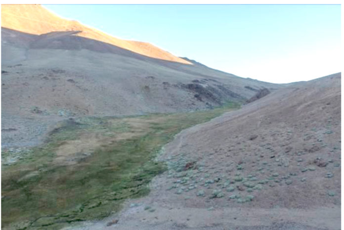 En la cordillera de Limarí se encuentra el humedal río Sasso