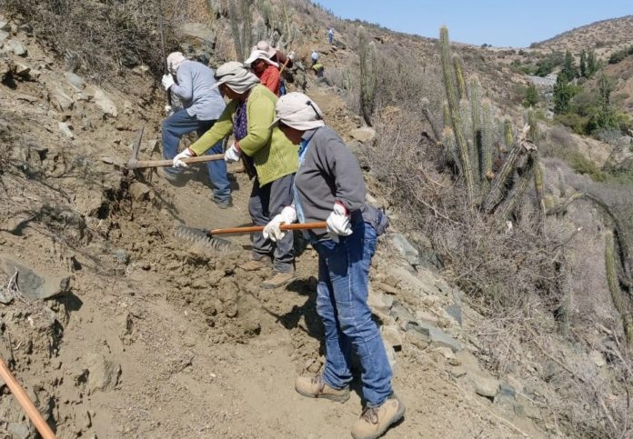 p5_trabajo_rural