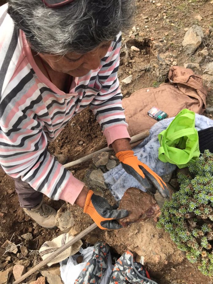 Irma Gómez, extrae piedras con oro casi todas las mañanas en Mineral de Talca. Foto: Romina Navea R.