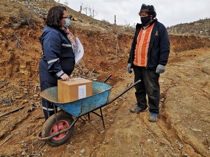 entrega_de_cajas_alimentos_para_chile_3_