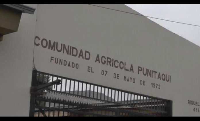 comunidad_agricola_punitaqui_foto