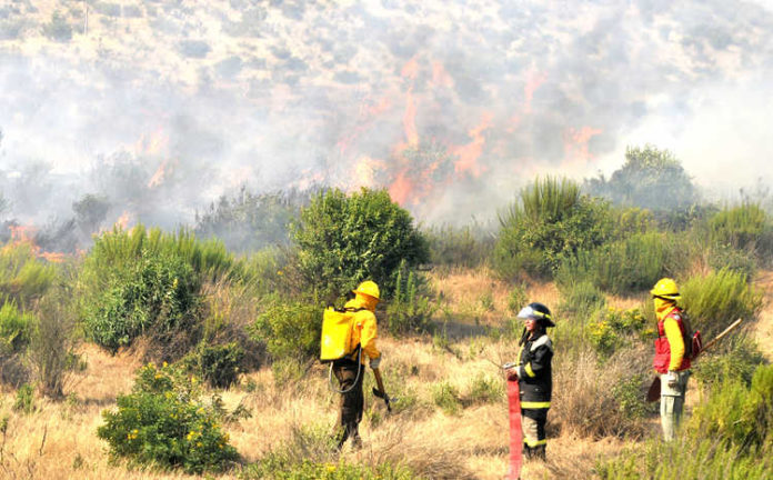 zzlos_incendios_forestales