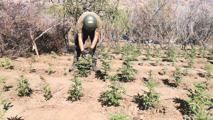 Los sectores donde existiría menor vigilancia están siendo propensos para la concreción de ilícitos vinculados a las drogas. Se han realizado decomisos, pero los traficantes siguen operando.