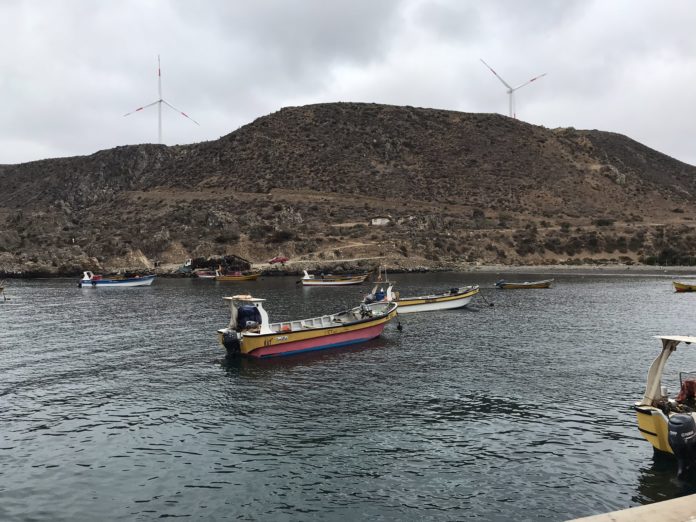 El próximo objetivo de los pescadores es expropiar la Caleta Sierra, para así no volver a lidiar con demandas de privados.