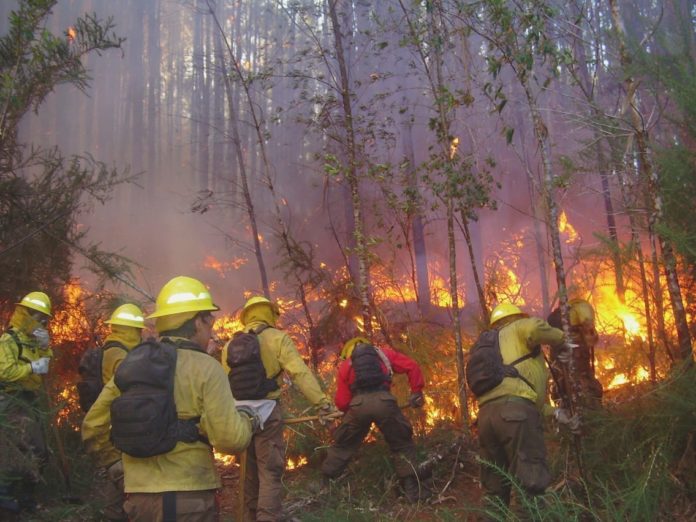 p4_superficie_incendios_forestales