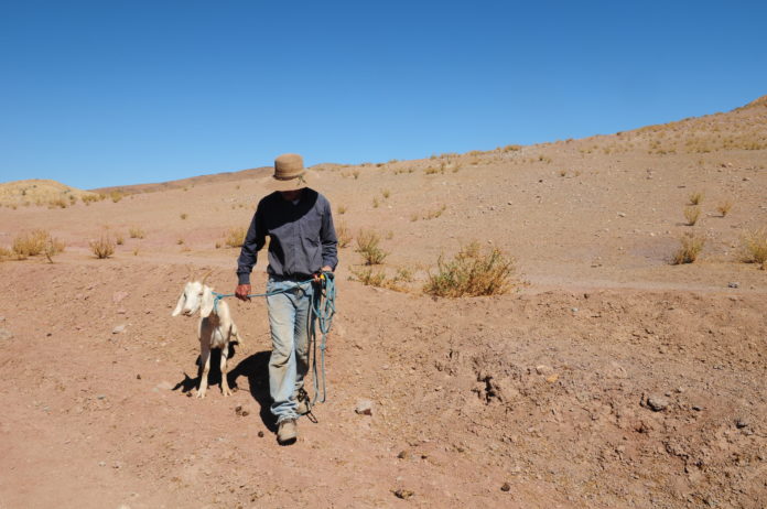 p2_enfrentando_el_cambio_climatico