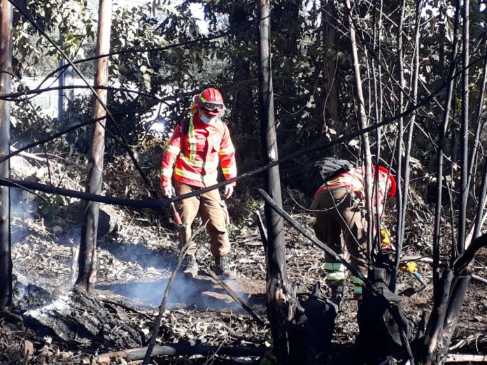 p3_incendio_la_chimba_2do_dia_secundaria