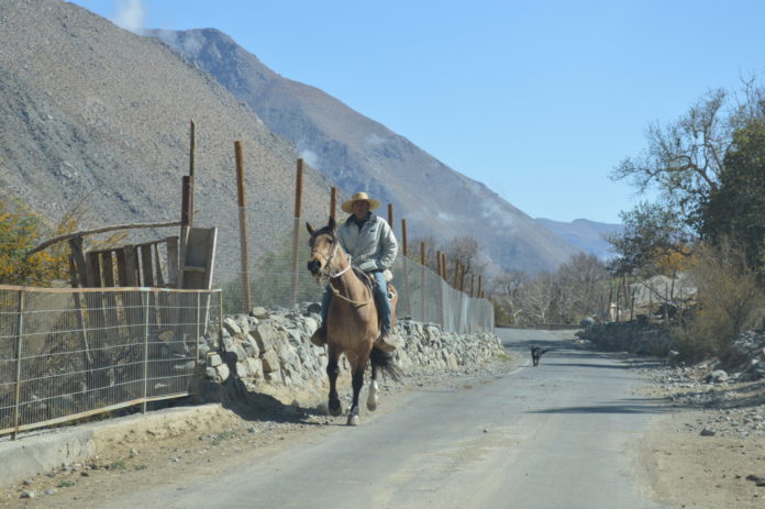 p4_mesa_rural_campesina_retoma_su_trabajo